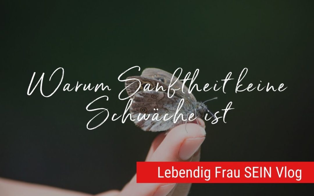 Warum Sanftheit keine Schwäche ist